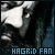 Chara: Hagrid